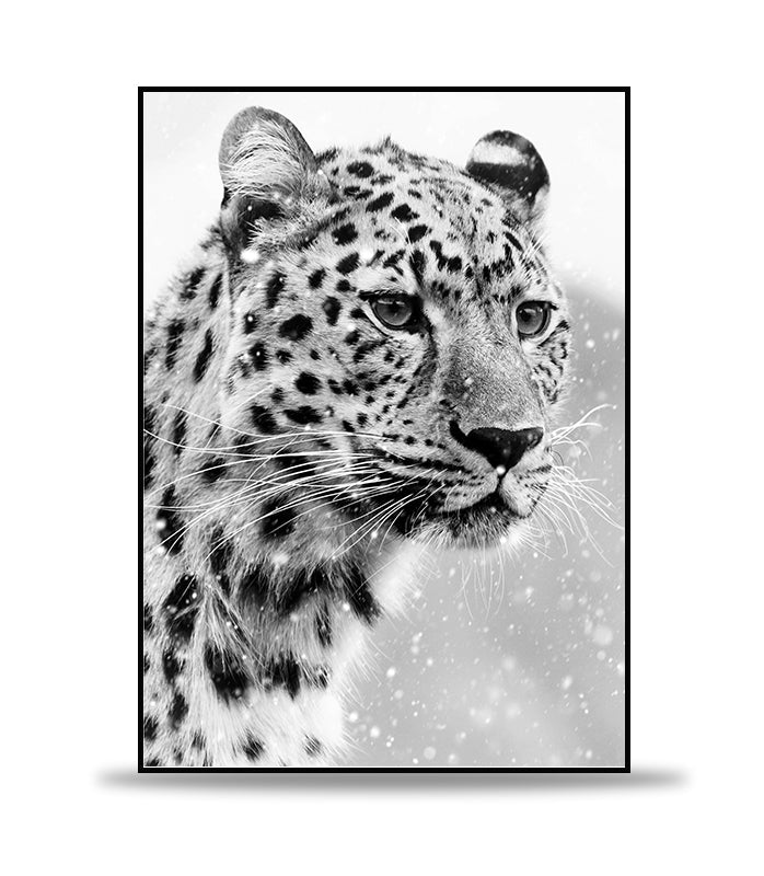 Black and white cheetah in the snow