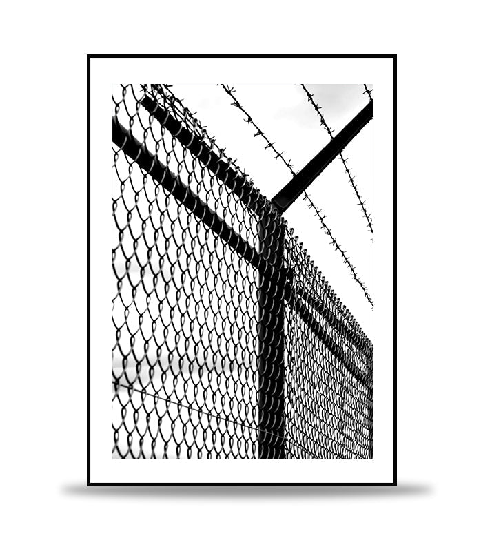 Barbed fences POSTER